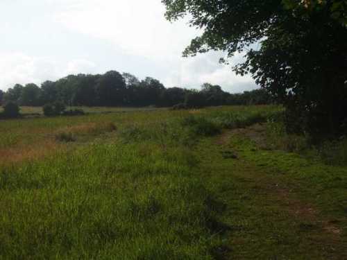 pewley-down-from-south-warren-farm-may2006.jpg