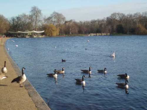 hyde-park-london-serpentine-cafe-bridge.jpg