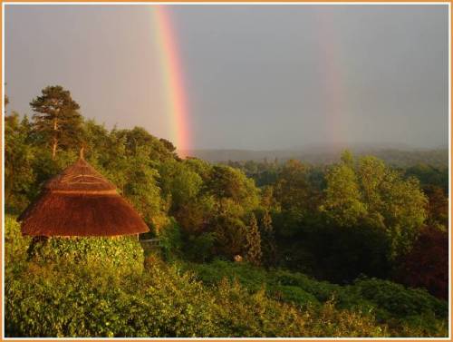 rainbow-surrey-hills.jpg