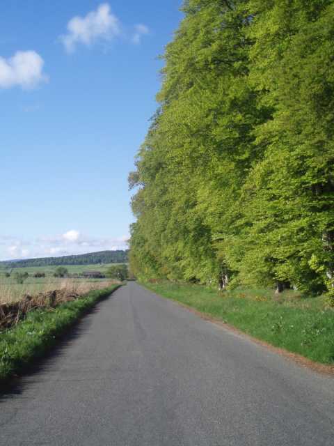 chapel-of-gairloch-aberdeenshire-trees