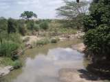 talek-river-at-fig-tree-camp-masai-mara-kenya.jpg