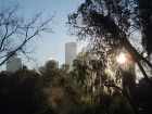 houston-skyline-above-buffalo-bayou-december-2007-by-roadsofstone.jpg