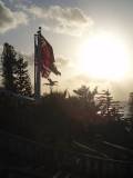 bermuda-trees-and-flags-at-dawn-by-roadsofstone.jpg