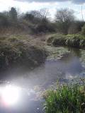 sunlight-on-the-hogsmill-river-ewell-surrey-england-by-roadsofstone