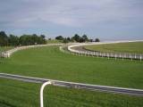epsom-racecourse-surrey-england-tattenham-corner-by-roadsofstone