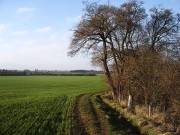 stratford-upon-avon-england-a-new-year-ahead-cross-o-the-hill-farm-dec-2008-by-roadsofstone