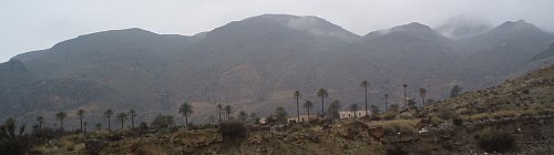 palms-in-the-desert-sierra-de-alhamilla-to-pechina-almeria-spain-crop3-by-sweder