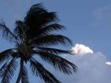 palm trees tropical sky cloud varadero matanzas cuba by roadsofstone