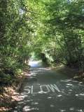 barhatch lane climb mid section cranleigh surrey england by roadsofstone