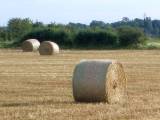 harvest summer august fields near swayfield lincolnshire england by roadsofstone
